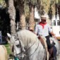 romeria-caballistas_267