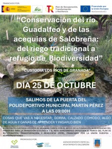 acequias-salobrena
