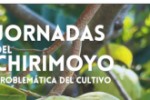 jornada-cultivo-chirimoyo_267