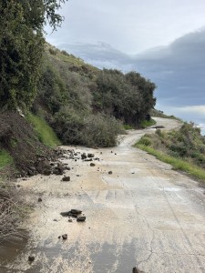 balance-danos-temporal-1