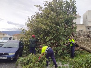 balance-danos-temporal-2