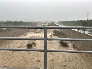 recopilacion-ayudas-temporal