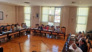 pleno-21-mayo