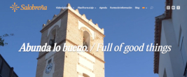 refuerzo-posicionamiento-turistico_267