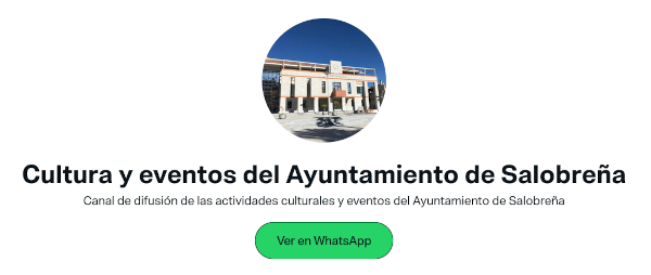 canal-difusión-whatsapp