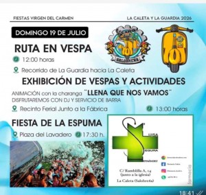 fiestas_v_carmen_19_2_800