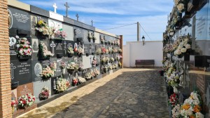 cementerio-6_800