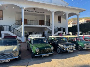 concentración coches mini_800_4