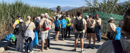 plogging_267